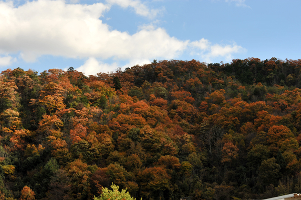 1120 okayama 4 DSC_6200.jpg